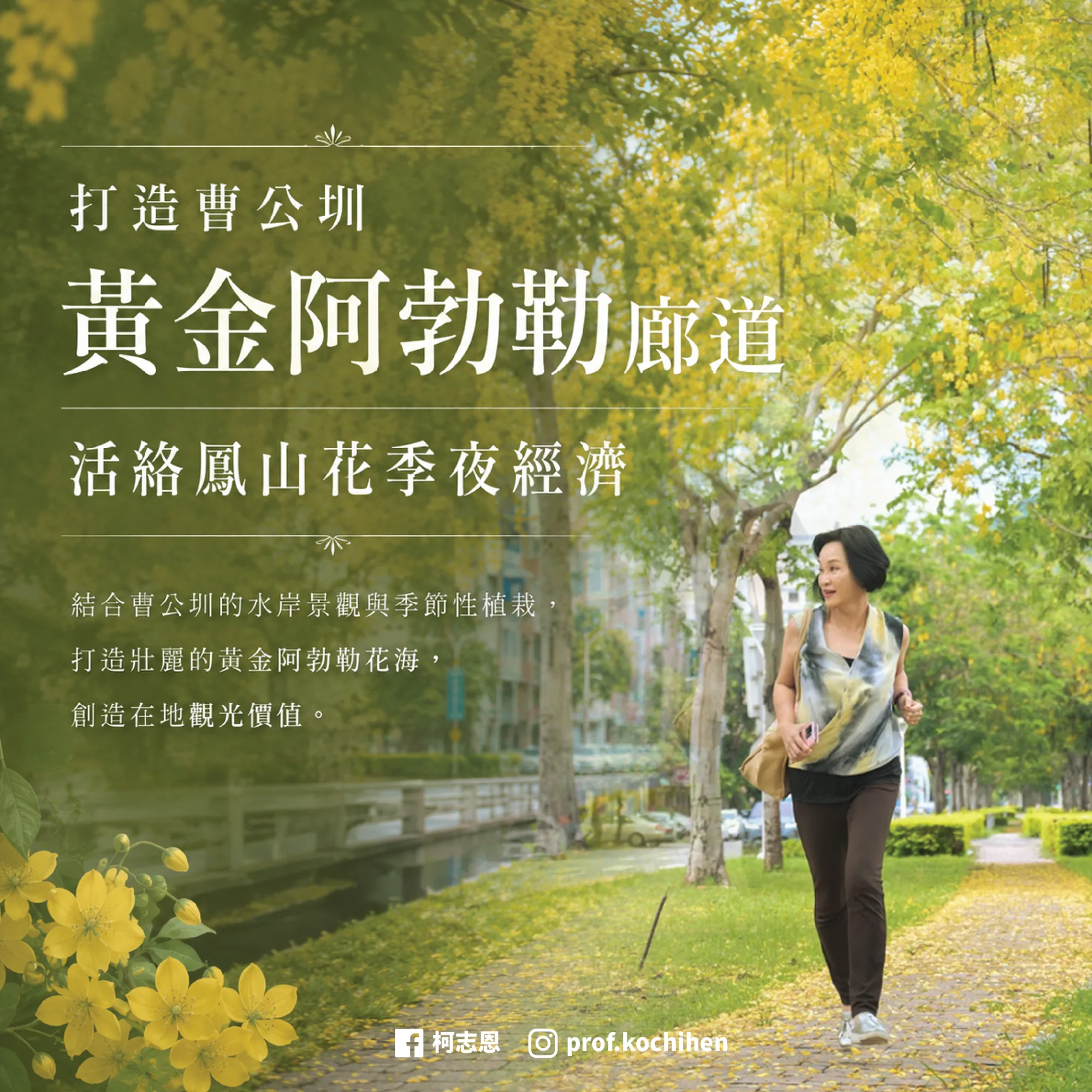 政策圖片 1